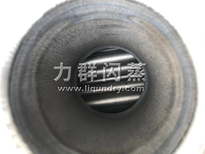 钛材耙式干燥机